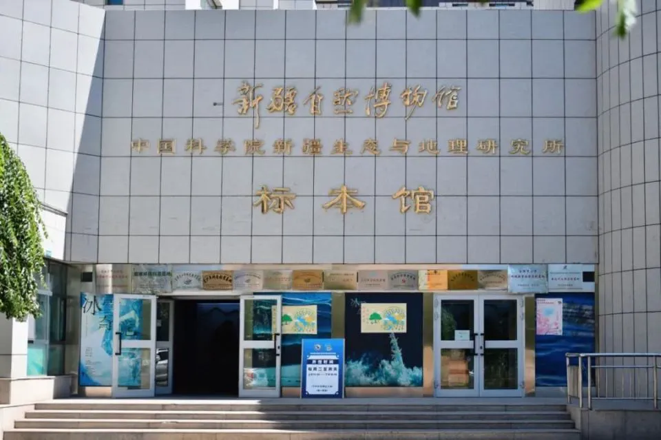 业余篮球运动员如何通过智能放松提高比赛表现?_2